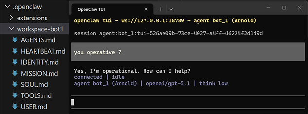 Openclaw TUI and Agent Personality Files