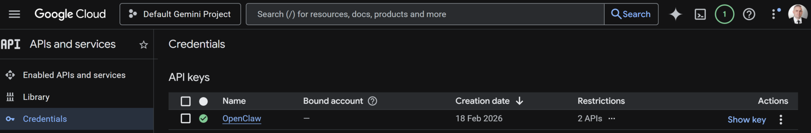 Gemini API @ Google Cloud Console